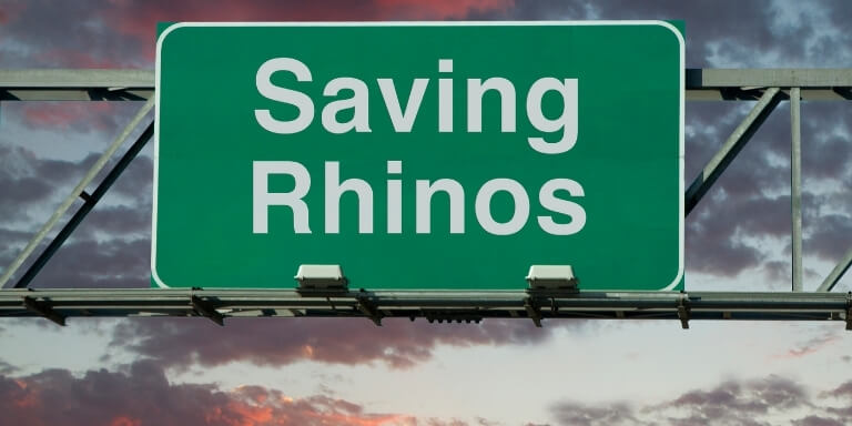 Saving rhinos Sign