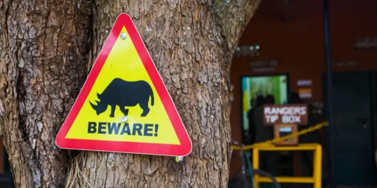 Beware Rhino Sign