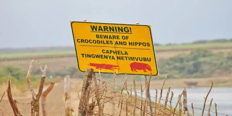 Beware of hippo and crocodile sign