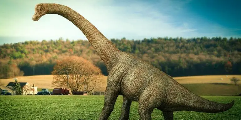 Dinosuar