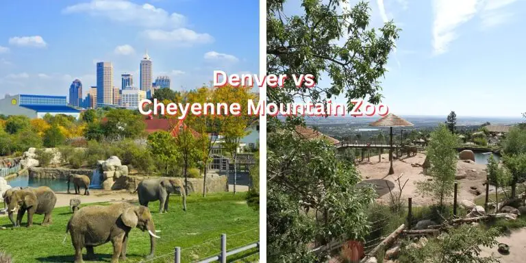 Denver vs chenneye moutain zoo