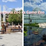 Minnesota Zoo vs Como Zoo