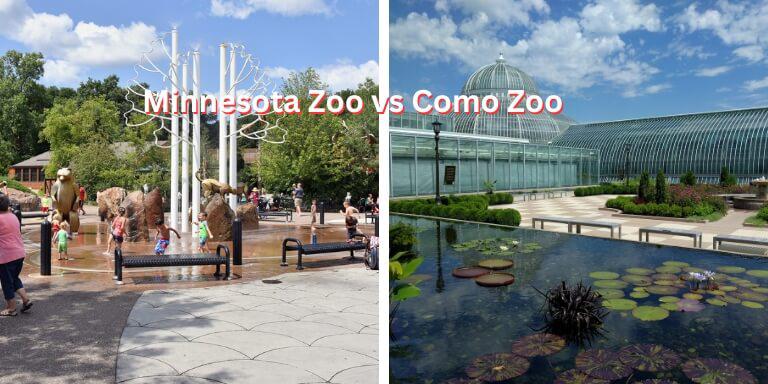 Minnesota Zoo vs Como Zoo