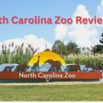 North-carolina-zoo-review