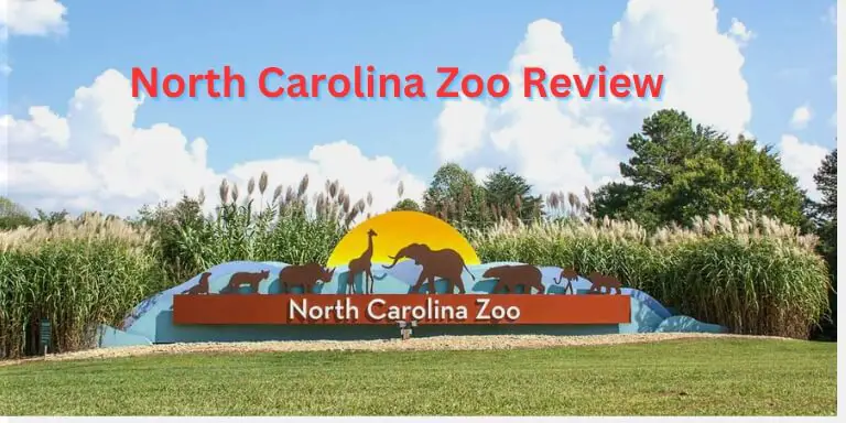 North-carolina-zoo-review